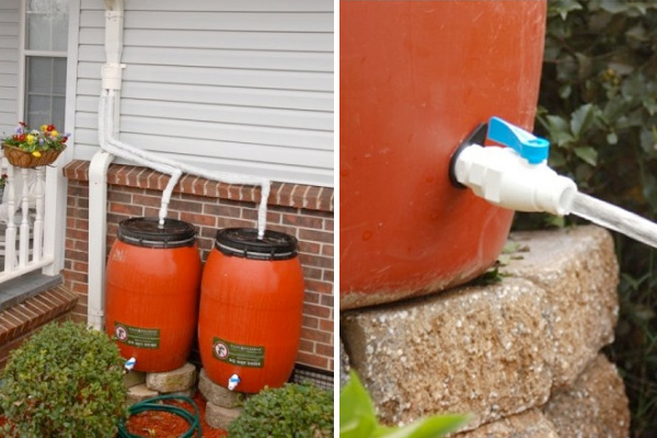 Rain barrel