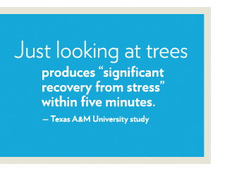trees help you de-stress