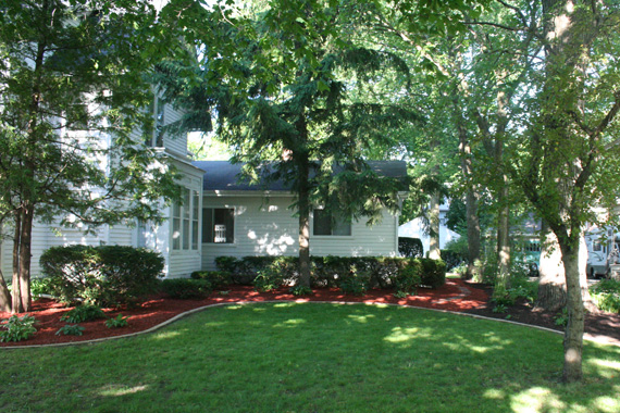 Shade trees help boost curb appeal