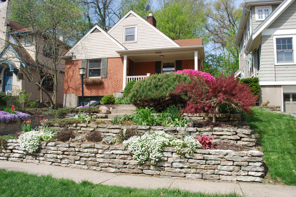 Terraced front yard with flowers