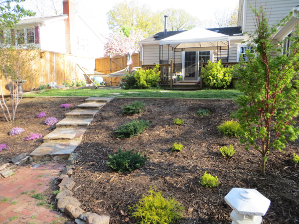 Dog-scaped yard with paths