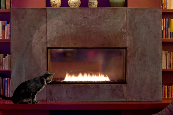 Cat next to direct vent fireplace in living room