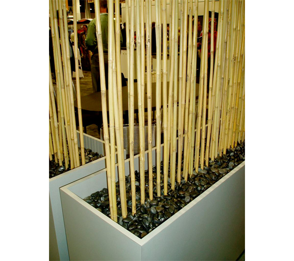 Bamboo curtain