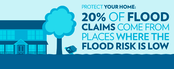 Protect your home from flooding infographic