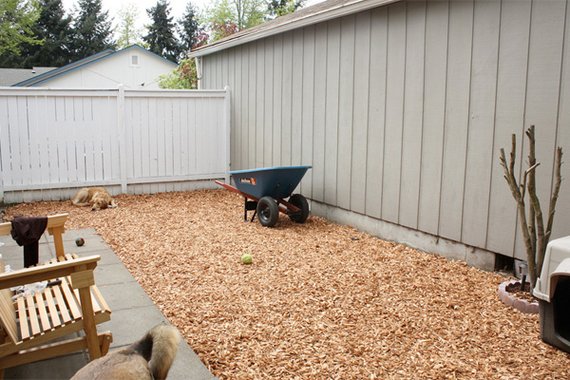 Building a Dog Run  Dog-Friendly Landscaping  Landscaping Tips
