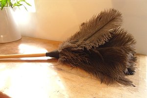 Dirty secrets feather duster crumbs