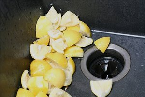 Garbage disposal lemons