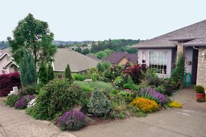 Berm built in front yard