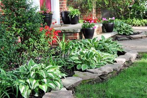 Rock wall around raised flower bed 