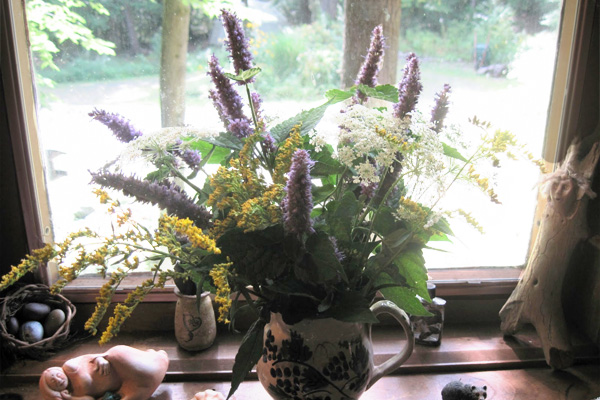 Anise hyssop will keep your home smelling nice