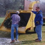 Turning Christmas trees into mulch