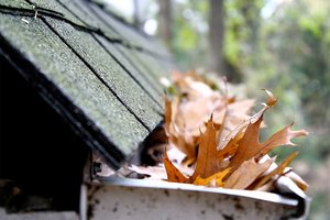 Leaves clogging a home's gutter