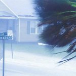 hurricane-blowing-palm-tree-getty Palm tree waving in hurricane