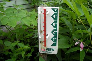 Rain gauge to figure out how much rain has fallen on lawn