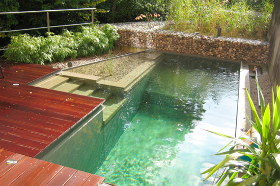 Natural Swimming Pools | All Natural Swimming Pool ...