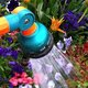 Watering plants with a hose and aerator attachment